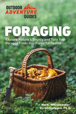 https://scientificbooks.net/sb/MQIBcUqKUbQMj8pvSH.jpeg