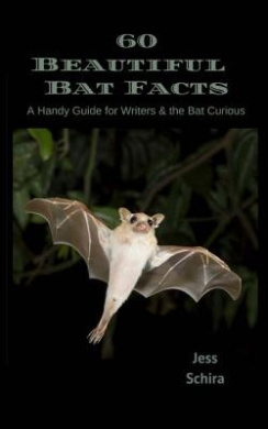 https://scientificbooks.net/sb/MkAxwWW6dSrSEBHs1U.jpeg