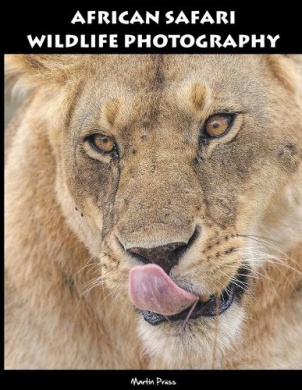 https://scientificbooks.net/sb/MlVaRUIjI59LMl9aW0.jpeg