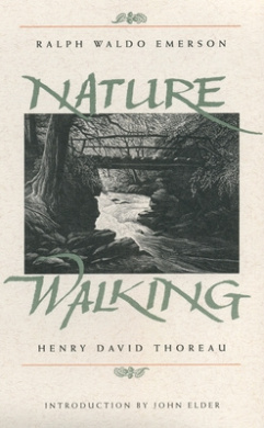 https://scientificbooks.net/sb/MsmMzVOicALz9TCVzQ.jpeg