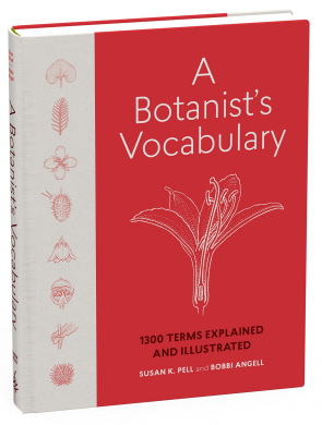 https://scientificbooks.net/sb/MvDeomCLeMqHSjAeq0.jpeg