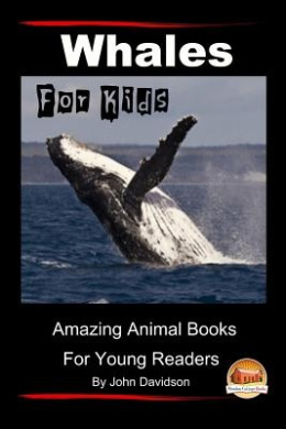 https://scientificbooks.net/sb/MyFscdiwrvus1AsvQu.jpeg