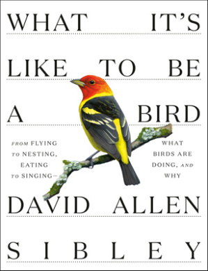 https://scientificbooks.net/sb/N9IhCMrdsL34o2pkrZ.jpeg