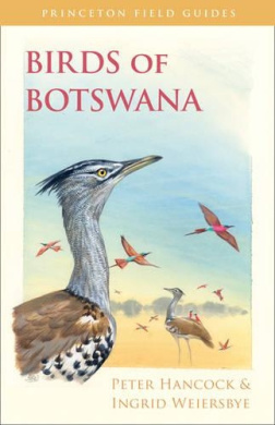 https://scientificbooks.net/sb/NALsG2RrHawcR7D30p.jpeg