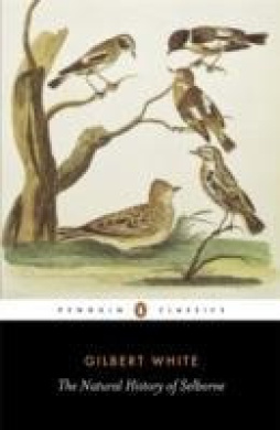 https://scientificbooks.net/sb/NBm7PXUS9KjvOSia20.jpeg
