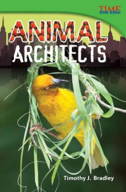 https://scientificbooks.net/sb/NFJmH5cr6LfVTrJwQA.jpeg