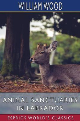 https://scientificbooks.net/sb/NIxRSXAw0CLhEhwItT.jpeg