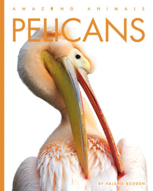 https://scientificbooks.net/sb/NLT2FCJjKPvWaF62Xg.jpeg