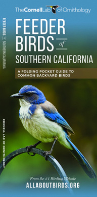 https://scientificbooks.net/sb/NfxAdkrTCFwSWKGALh.jpeg