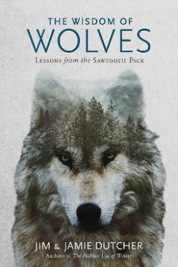 https://scientificbooks.net/sb/Nm0WAqSzzkwDNJdF3G.jpeg