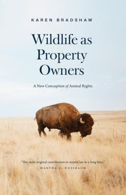 https://scientificbooks.net/sb/NviclTGKr4WU9VzVlt.jpeg