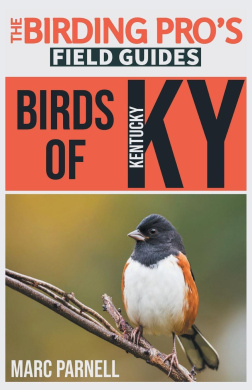 https://scientificbooks.net/sb/Nyyz2FW4jmjHAhdadT.jpeg