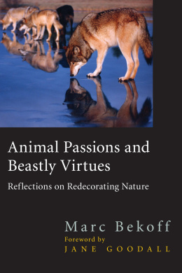 https://scientificbooks.net/sb/NzypZxfurT0YDZY0Nw.jpeg