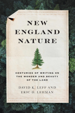 https://scientificbooks.net/sb/O4uRldahxHes2Ln8tH.jpeg