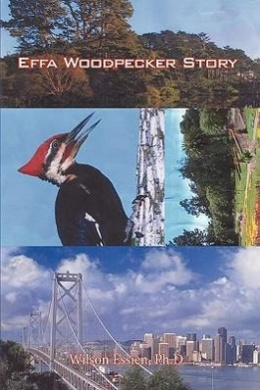 https://scientificbooks.net/sb/O6INmUTP4QTc6QjpEP.jpeg