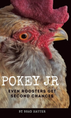 https://scientificbooks.net/sb/OGeAvO8aSOHre9jeH6.jpeg
