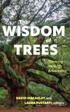 https://scientificbooks.net/sb/OHuRAoCorDKcODm8N5.jpeg
