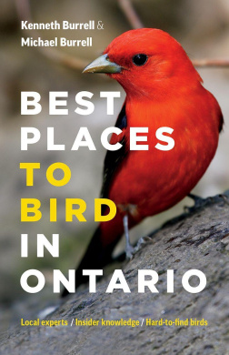 https://scientificbooks.net/sb/OInCQO9t3PKTA7Pc7S.jpeg