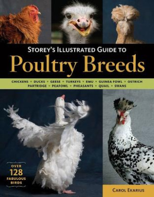 https://scientificbooks.net/sb/OPG9KWWl5MpWubGads.jpeg