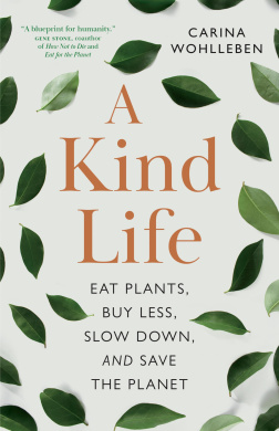 https://scientificbooks.net/sb/OYLTGRjGSLB9znrsLf.jpeg