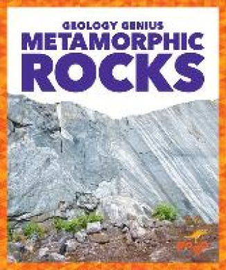 https://scientificbooks.net/sb/OYyTI5DLQDWCQe7818.jpeg