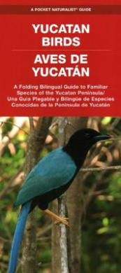 https://scientificbooks.net/sb/OZnaqY00pwgi0ulgfT.jpeg