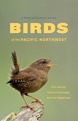 https://scientificbooks.net/sb/OfLXbq3pzm9QJYG1Sj.jpeg