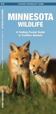https://scientificbooks.net/sb/OhVI7RR3ecXSFM8XQF.jpeg