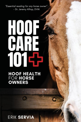 https://scientificbooks.net/sb/Ojc3RFeT9H227Lvaz4.jpeg
