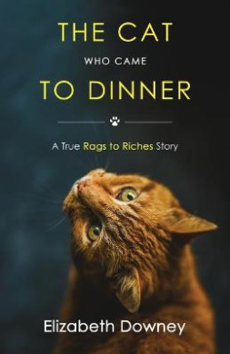 https://scientificbooks.net/sb/Ol0tBlRThXpjCWy18v.jpeg