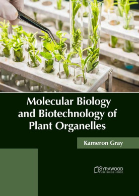 https://scientificbooks.net/sb/OsPfVVYzHfp8W9guC6.jpeg