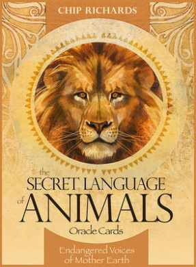 https://scientificbooks.net/sb/OtyP4Z9qw3s3k8Svkd.jpeg
