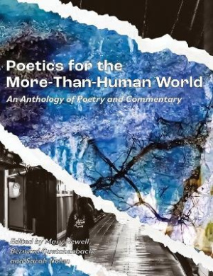 https://scientificbooks.net/sb/P6wV2rIKEp46eF7KmD.jpeg