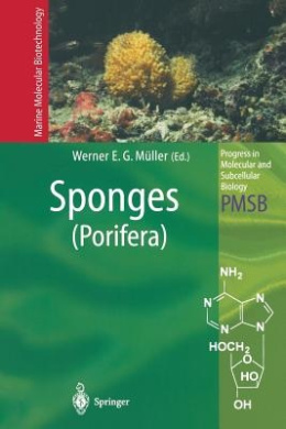 https://scientificbooks.net/sb/PDC2hSp4rO8sgQ1ZUk.jpeg