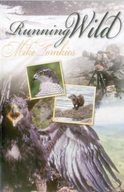 https://scientificbooks.net/sb/PDafqIOirzWoeV4Ql1.jpeg