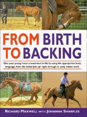 https://scientificbooks.net/sb/PHf9X7bZjPpE6rWiUN.jpeg
