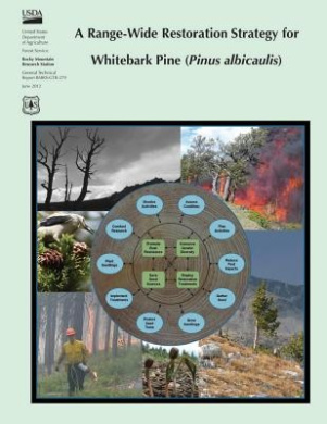 https://scientificbooks.net/sb/PJ8SJSITmrPxfPGW7O.jpeg