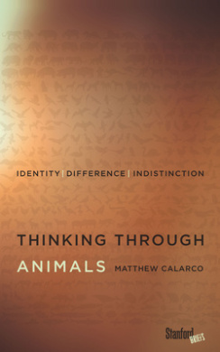 https://scientificbooks.net/sb/PZqpOfPBjV5OaXb7CP.jpeg