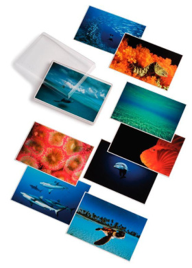 https://scientificbooks.net/sb/Pp5qhgsRlxDvqH5l2p.jpeg