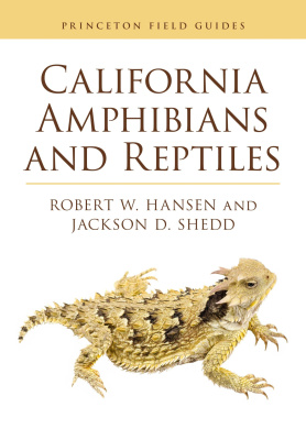 https://scientificbooks.net/sb/Pr6BtUgTzSHyxc7bBv.jpeg