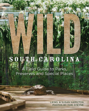 https://scientificbooks.net/sb/PwrLqtHh7ppx3MjX0s.jpeg