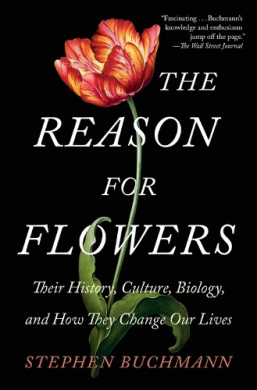 https://scientificbooks.net/sb/QBEvowlkwQFG3ZRxo9.jpeg