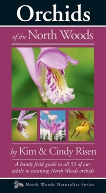 https://scientificbooks.net/sb/QEch2KIveDMUe09DGe.jpeg