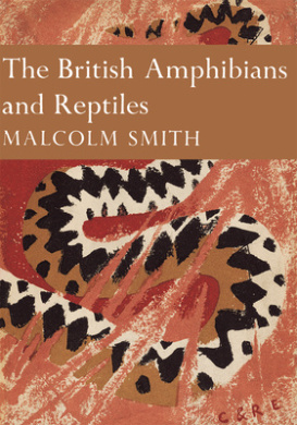 https://scientificbooks.net/sb/QJXAqbT8Qsiq61F0mx.jpeg