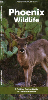 https://scientificbooks.net/sb/QLQoikWgoSXPh6v2mw.jpeg