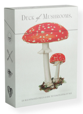 https://scientificbooks.net/sb/QLzXZVb5WF2FOWjjxL.jpeg
