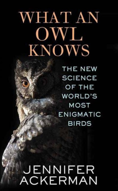 https://scientificbooks.net/sb/QNbGsJdJerOWvVZndc.jpeg