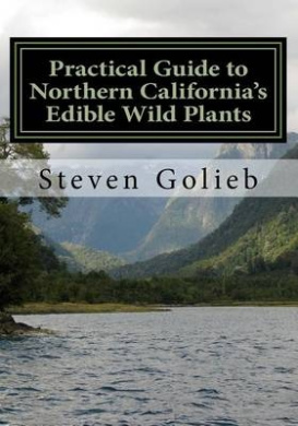 https://scientificbooks.net/sb/QORG2yhKsxir04cyPs.jpeg