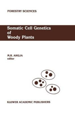 https://scientificbooks.net/sb/QV2RYCWNuqHI2Ymqgs.jpeg