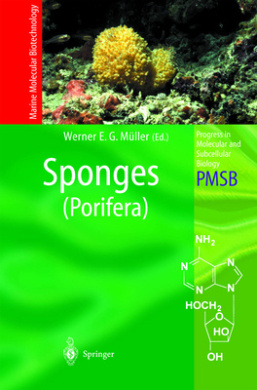 https://scientificbooks.net/sb/QWCSdnmLKPHb1YpmO1.jpeg